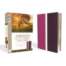 Amplified Bible Large Print - Dark Orchid / Deep Plum Leathersoft (LWD)